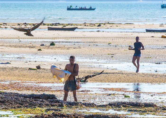 A fisherman carrying a net across tidal flats as a kite flies past, another figure behind, Tanzania